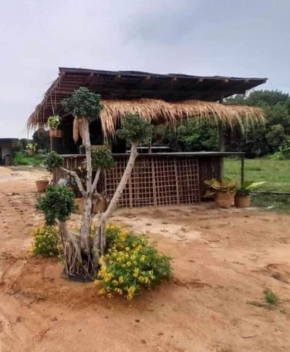 ทุ่งนากางเต้นท์ Countryside